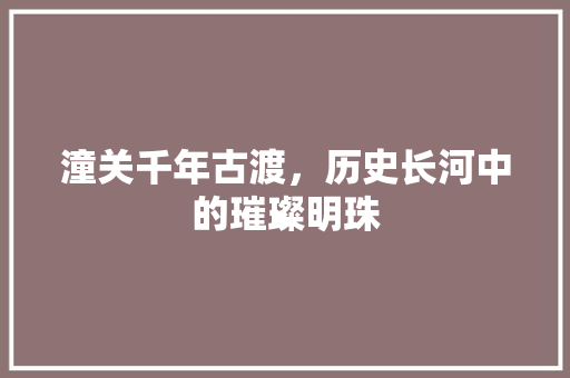 潼关千年古渡，历史长河中的璀璨明珠