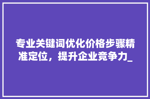 专业关键词优化价格步骤精准定位，提升企业竞争力_专业的关键词优化价格