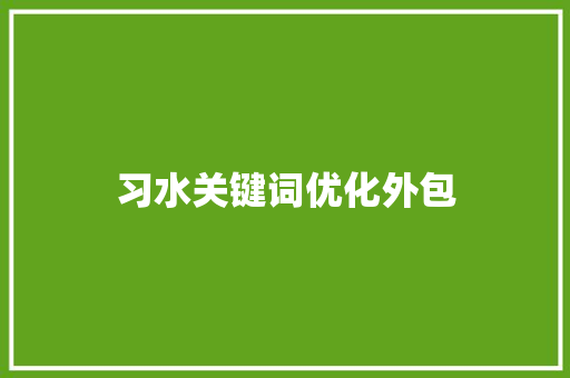 习水关键词优化外包