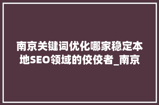 南京关键词优化哪家稳定本地SEO领域的佼佼者_南京关键词优化哪家稳定