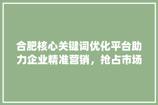 合肥核心关键词优化平台助力企业精准营销，抢占市场先机_合肥核心关键词优化平台