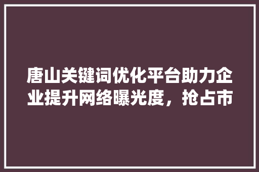 唐山关键词优化平台助力企业提升网络曝光度，抢占市场先机_唐山关键词优化平台