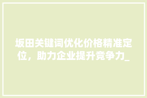 坂田关键词优化价格精准定位，助力企业提升竞争力_坂田关键词优化价格