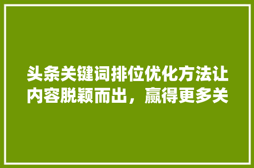 头条关键词排位优化方法让内容脱颖而出，赢得更多关注_头条关键词排位优化方法