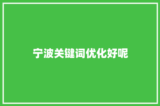 宁波关键词优化好呢