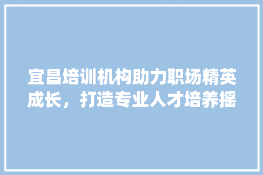 宜昌培训机构助力职场精英成长，打造专业人才培养摇篮_宜昌关键词优化培训机构