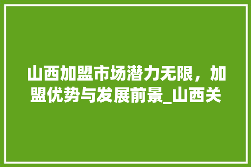 山西加盟市场潜力无限，加盟优势与发展前景_山西关键词优化加盟