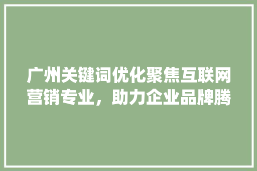 广州关键词优化聚焦互联网营销专业，助力企业品牌腾飞_广州关键词优化哪个专业