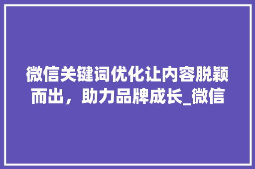 微信关键词优化让内容脱颖而出，助力品牌成长_微信查询关键词优化