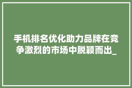 手机排名优化助力品牌在竞争激烈的市场中脱颖而出_关键词手机排名优化