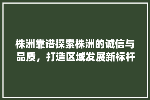 株洲靠谱探索株洲的诚信与品质，打造区域发展新标杆_株洲靠谱关键词优化