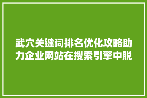 武穴关键词排名优化攻略助力企业网站在搜索引擎中脱颖而出_武穴关键词排名优化