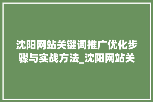 沈阳网站关键词推广优化步骤与实战方法_沈阳网站关键词推广优化