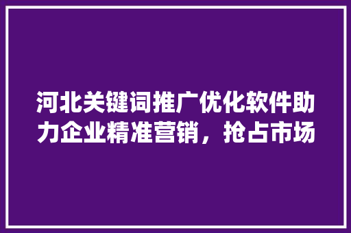 河北关键词推广优化软件助力企业精准营销，抢占市场先机_河北关键词推广优化软件