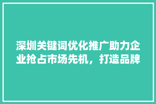 深圳关键词优化推广助力企业抢占市场先机，打造品牌影响力_深圳关键词优化推广公司