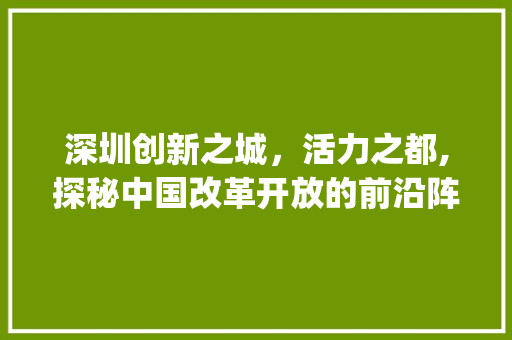 深圳创新之城，活力之都,探秘中国改革开放的前沿阵地_深圳关键词的优化方法