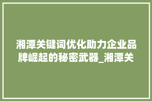 湘潭关键词优化助力企业品牌崛起的秘密武器_湘潭关键词优化哪家好