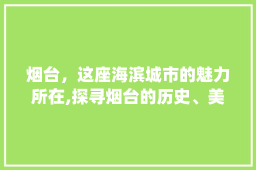 烟台，这座海滨城市的魅力所在,探寻烟台的历史、美食与文化_烟台关键词优化商家