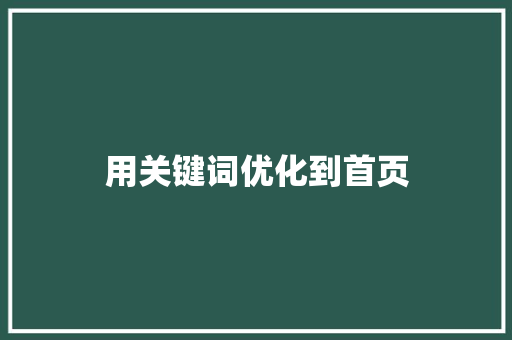 用关键词优化到首页