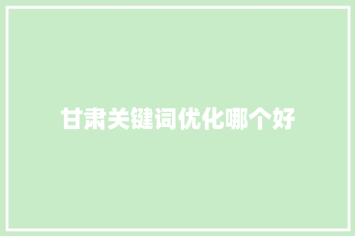 甘肃关键词优化哪个好