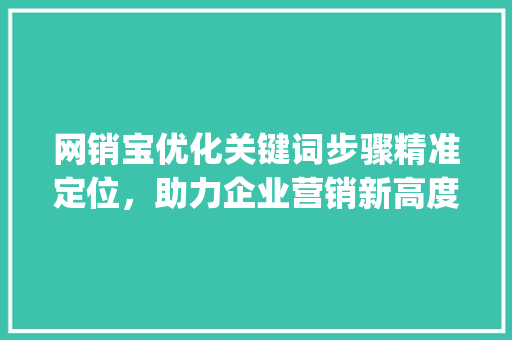 网销宝优化关键词步骤精准定位，助力企业营销新高度_网销宝优化关键词