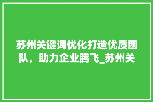 苏州关键词优化打造优质团队，助力企业腾飞_苏州关键词优化优质团队