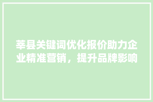 莘县关键词优化报价助力企业精准营销，提升品牌影响力_莘县关键词优化报价