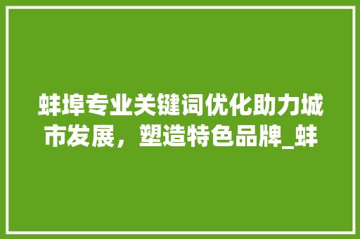 蚌埠专业关键词优化助力城市发展，塑造特色品牌_蚌埠专业关键词优化