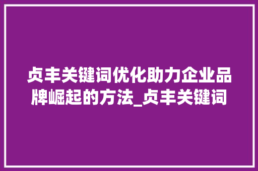 贞丰关键词优化助力企业品牌崛起的方法_贞丰关键词优化公司