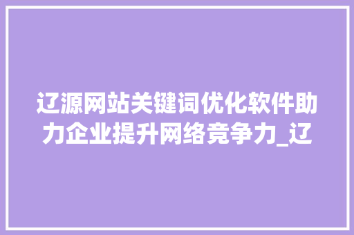 辽源网站关键词优化软件助力企业提升网络竞争力_辽源网站关键词优化软件