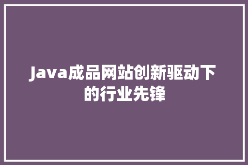 Java成品网站创新驱动下的行业先锋