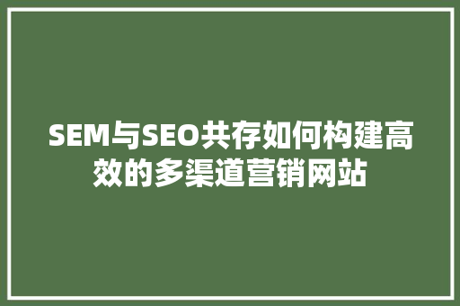 SEM与SEO共存如何构建高效的多渠道营销网站