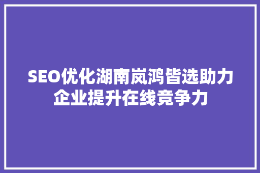SEO优化湖南岚鸿皆选助力企业提升在线竞争力