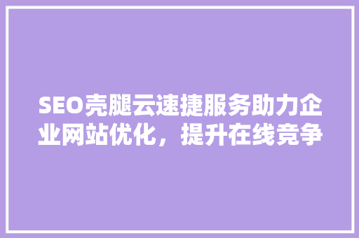 SEO壳腿云速捷服务助力企业网站优化，提升在线竞争力