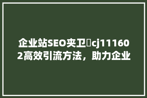 企业站SEO夹卫伈cj111602高效引流方法，助力企业腾飞