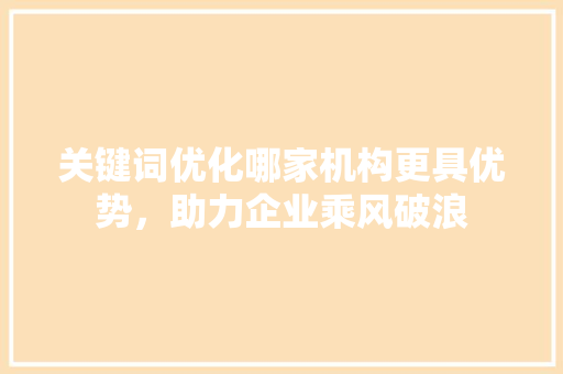 关键词优化哪家机构更具优势，助力企业乘风破浪