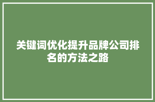 关键词优化提升品牌公司排名的方法之路