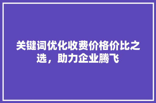 关键词优化收费价格价比之选，助力企业腾飞