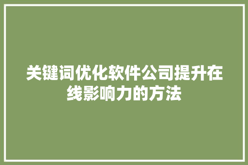 关键词优化软件公司提升在线影响力的方法