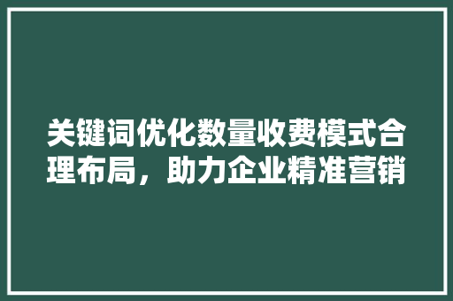 关键词优化数量收费模式合理布局，助力企业精准营销