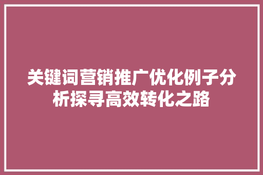 关键词营销推广优化例子分析探寻高效转化之路