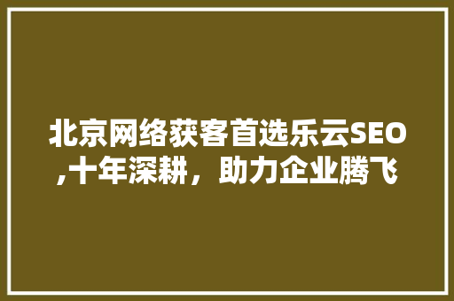 北京网络获客首选乐云SEO,十年深耕，助力企业腾飞