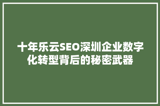 十年乐云SEO深圳企业数字化转型背后的秘密武器