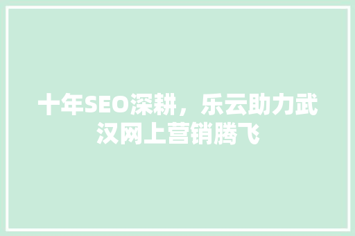 十年SEO深耕，乐云助力武汉网上营销腾飞