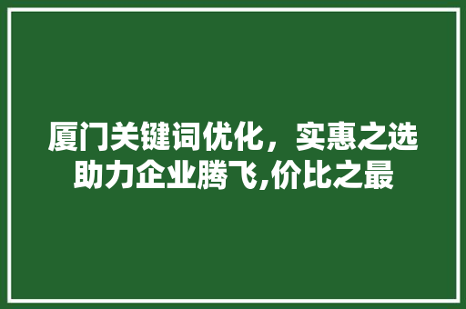 厦门关键词优化，实惠之选助力企业腾飞,价比之最