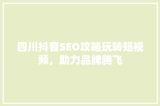 四川抖音SEO攻略玩转短视频，助力品牌腾飞