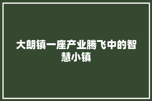 大朗镇一座产业腾飞中的智慧小镇