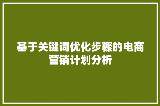 基于关键词优化步骤的电商营销计划分析