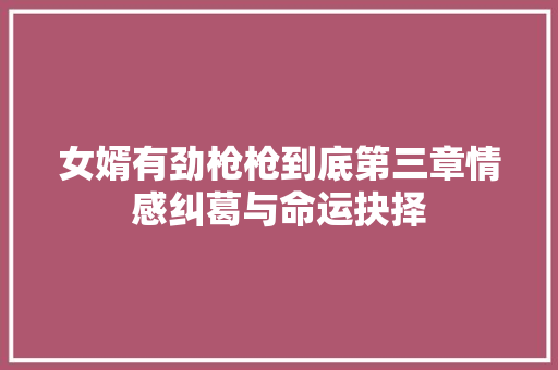 女婿有劲枪枪到底第三章情感纠葛与命运抉择
