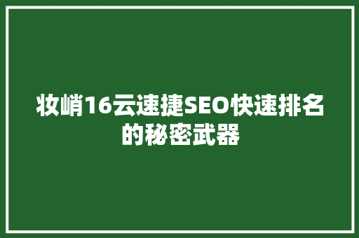 妆峭16云速捷SEO快速排名的秘密武器